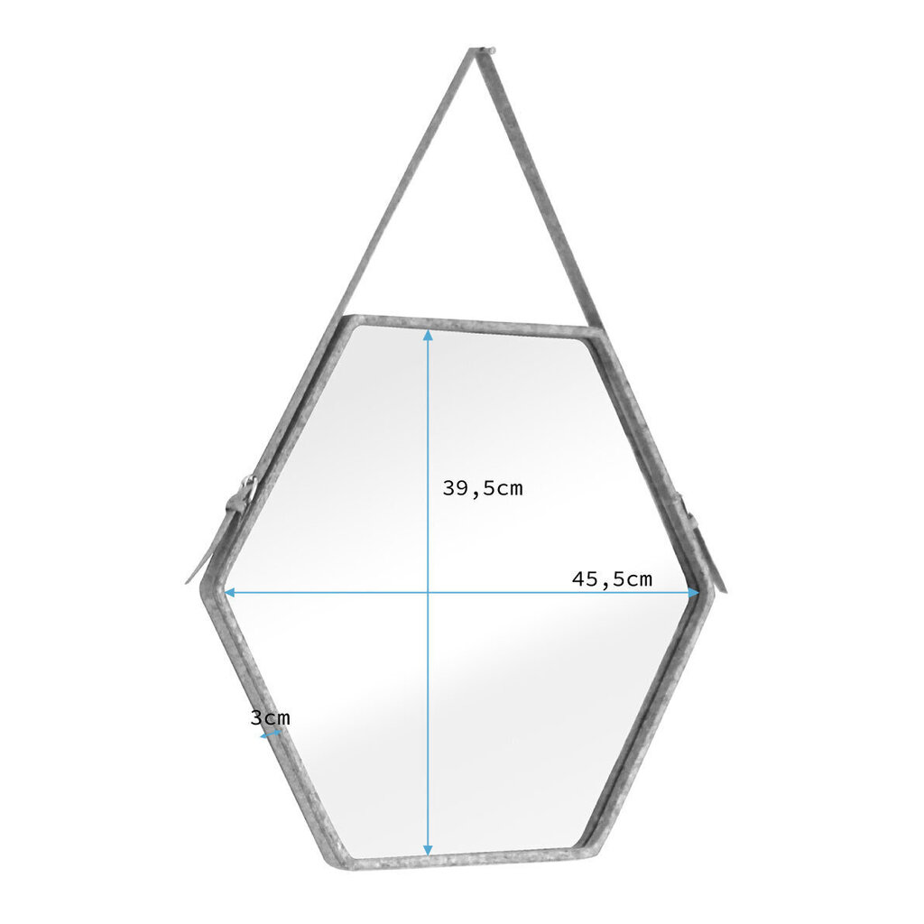 Spogulis Homede Eib, 45.5 cm, brūns cena un informācija | Spoguļi | 220.lv