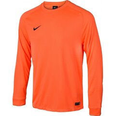 Nike толстовка мужская Park Goalie II LS M 588418-803, 43217, оранжевый цена и информация | Мужские толстовки | 220.lv