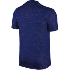 Мужская спортивная футболка Nike Flash CR7 M 777544-455 (43287) цена и информация | Мужская спортивная одежда | 220.lv