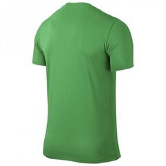 Sporta T-krekls zēniem Nike Park VI Junior 725984-303, 43259, zaļš cena un informācija | Zēnu krekli | 220.lv