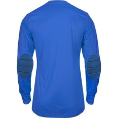 Футболка вратаря для мальчиков Adidas Assita 17 Junior, синяя цена и информация | Рубашки для мальчиков | 220.lv