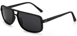 Солнцезащитные очки Label P1203 Polarized цена и информация | Солнцезащитные очки для мужчин | 220.lv