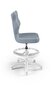 Ergonomisks bērnu krēsls Entelo Petit White JS06 ar kāju balstu, gaiši zils цена и информация | Biroja krēsli | 220.lv