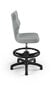 Ergonomisks bērnu krēsls Entelo Petit Black JS03 ar kāju balstu, pelēks cena un informācija | Biroja krēsli | 220.lv