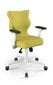 Biroja krēsls Entelo Perto White DC19, zaļš cena un informācija | Biroja krēsli | 220.lv
