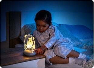 Ночной светильник REER LED ColourLumy Owls цена и информация | Детские светильники | 220.lv