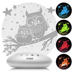 Ночной светильник REER LED ColourLumy Owls цена и информация | Детские светильники | 220.lv