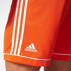 Adidas Squadra 17 vīriešu šorti, oranži cena un informācija | Vīriešu šorti | 220.lv