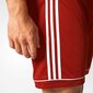 Vīriešu šorti Adidas Squadra 17, sarkani cena un informācija | Vīriešu šorti | 220.lv