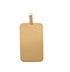 Кулон с золотым покрытием 750°, произведен во Франции цена и информация | Украшения на шею | 220.lv