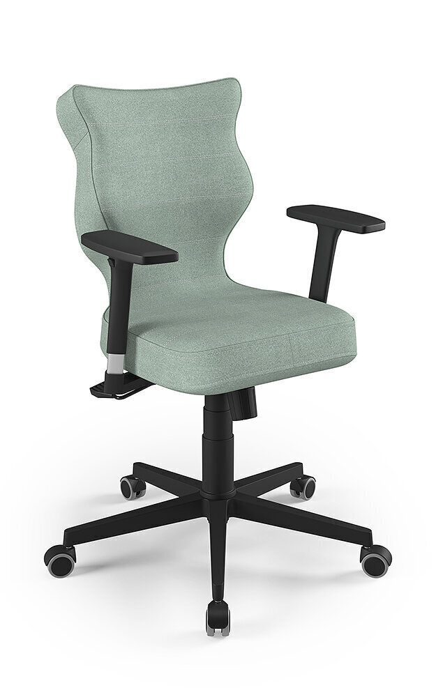Biroja krēsls Entelo Nero DC20 6, zaļš/melns cena un informācija | Biroja krēsli | 220.lv