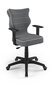 Bērnu biroja krēsls Entelo Duo JS33 5, tumši pelēks / melns цена и информация | Biroja krēsli | 220.lv
