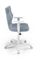 Bērnu biroja krēsls Entelo Duo JS06 5, zils / balts cena un informācija | Biroja krēsli | 220.lv