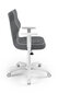 Biroja krēsls Entelo Duo JS33 6, tumši pelēks/balts cena un informācija | Biroja krēsli | 220.lv