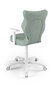Biroja krēsls Entelo Duo DC20 6, zaļš/balts cena un informācija | Biroja krēsli | 220.lv