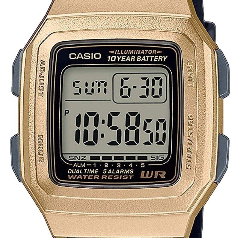 Vīriešu pulkstenis Casio F-201WAM-9AVEF cena un informācija | Vīriešu pulksteņi | 220.lv