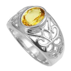 Красивое серебряное (925) кольцо, код ah50763 цена и информация | Кольца | 220.lv