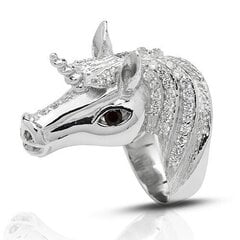 Красивое серебряное (925) кольцо, код f50102 цена и информация | Кольца | 220.lv