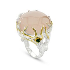 Красивое серебряное (925) кольцо, код f50209 цена и информация | Кольца | 220.lv
