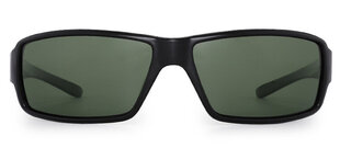 Saulesbrilles Label P619 Polarized cena un informācija | Saulesbrilles  vīriešiem | 220.lv