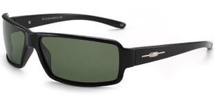 Солнцезащитные очки Label P619 Polarized цена и информация | Солнцезащитные очки для мужчин | 220.lv