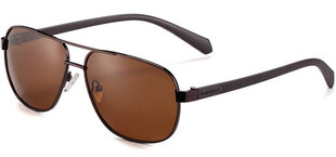 Saulesbrilles Label P1209 Polarized cena un informācija | Saulesbrilles  vīriešiem | 220.lv