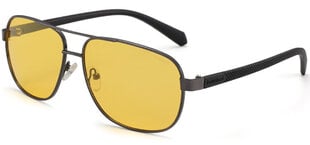 Saulesbrilles Label Night Vision Polarized цена и информация | Солнцезащитные очки для мужчин | 220.lv
