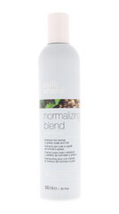 Matu šampūns Milk Shake Normalizing Blend, 300 ml cena un informācija | Šampūni | 220.lv