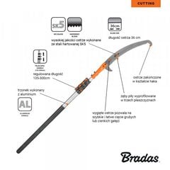 Пила Brad V-SERIES с крючком и телескопической ручкой 5.5 м цена и информация | Садовые инструменты | 220.lv
