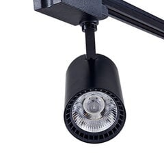 Светодиодный акцентный светильник 30Вт 4000К, встраиваемый в однофазную рейку цена и информация | Трековые светильники и шинопроводы | 220.lv
