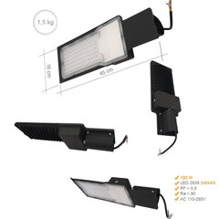 Уличный фонарь 100 Вт IP65 6000K цена и информация | Уличное освещение | 220.lv