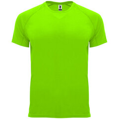 Tehnisks reglāna T-krekls ar īsām piedurknēm, zaļš cena un informācija | Sporta apģērbs vīriešiem | 220.lv