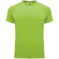 Tehnisks reglāna T-krekls ar īsām piedurknēm, zaļš cena un informācija | Sporta apģērbs vīriešiem | 220.lv