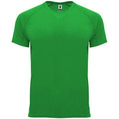 Tehnisks reglāna T-krekls ar īsām piedurknēm, zaļš cena un informācija | Zēnu krekli | 220.lv