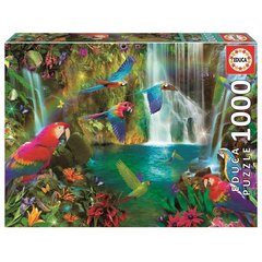 Puzle Tropical Parrots, 1000 detaļas cena un informācija | Puzles, 3D puzles | 220.lv