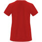 Tehnisks reglāna T-krekls ar īsām piedurknēm sievietēm, sarkans цена и информация | T-krekli sievietēm | 220.lv