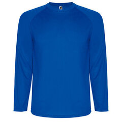 Sporta krekls ar garām piedurknēm, zils cena un informācija | Sporta apģērbs vīriešiem | 220.lv