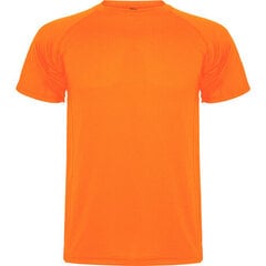 Sporta T-krekls, oranžs cena un informācija | Sporta apģērbs vīriešiem | 220.lv