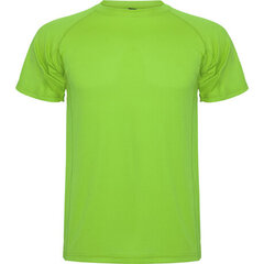 Sporta T-krekls, zaļš cena un informācija | Sporta apģērbs vīriešiem | 220.lv