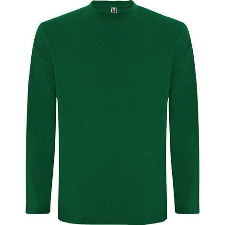 T-krekls vīriešiem ar garām piedurknēm, zaļš cena un informācija | Vīriešu džemperi | 220.lv