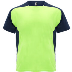 Tehnisks reglāna T-krekls ar īsām piedurknēm, zaļš/zils cena un informācija | Sporta apģērbs vīriešiem | 220.lv