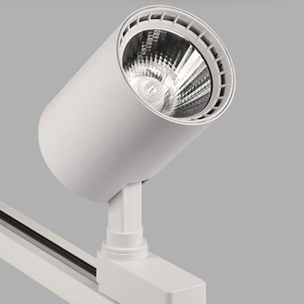 LED akcenta gaismeklis 30W 4000K, uzstādīts vienfāzes sliedē цена и информация | Sliežu apgaismojuma sistēmas | 220.lv
