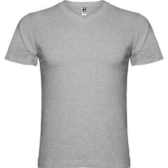 T-krekls ar V-veida kakla izgriezumu, pelēks cena un informācija | Vīriešu T-krekli | 220.lv