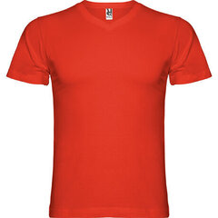 T-krekls ar V-veida kakla izgriezumu, sarkans cena un informācija | Vīriešu T-krekli | 220.lv