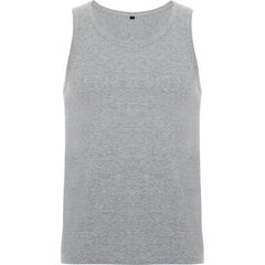 Стильная футболка без рукавов. цена и информация | Рубашки для мальчиков | 220.lv