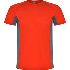 T-krekls kombinēts no 2 poliestera audumiem, sarkans/pelēks cena un informācija | Vīriešu T-krekli | 220.lv