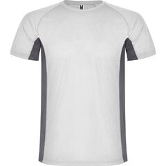 T-krekls kombinēts no 2 poliestera audumiem, balts/pelēks cena un informācija | Vīriešu T-krekli | 220.lv