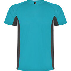 T-krekls kombinēts no 2 poliestera audumiem, zils/pelēks cena un informācija | Vīriešu T-krekli | 220.lv