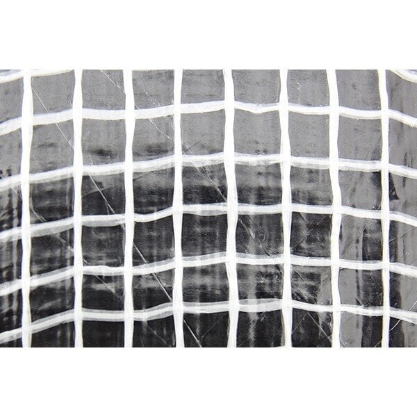 Pastiprināta plēve (Leno Cristal) 10 x 12 m, Bradas цена и информация | Siltumnīcas | 220.lv