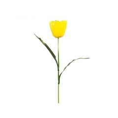 Mākslīga tulpes zieds цена и информация | Искусственные цветы | 220.lv